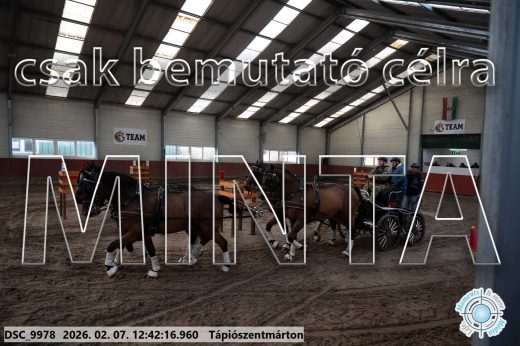 Mintakép 20260207-429