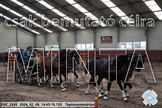 Mintakép 20260208-640