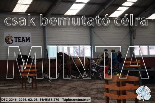 Mintakép 20260208-641