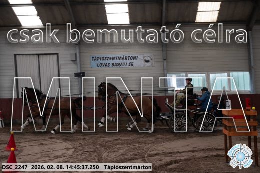 Mintakép 20260208-642