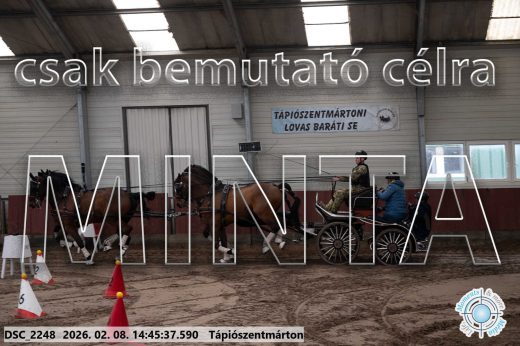 Mintakép 20260208-643