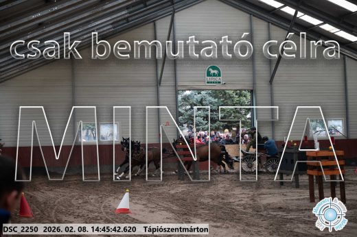 Mintakép 20260208-645