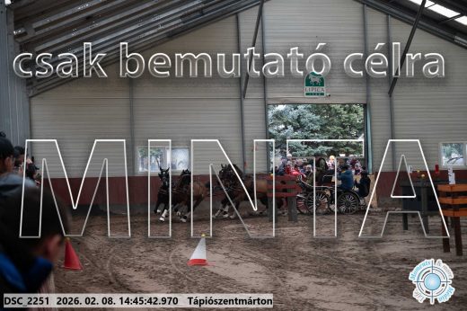 Mintakép 20260208-646