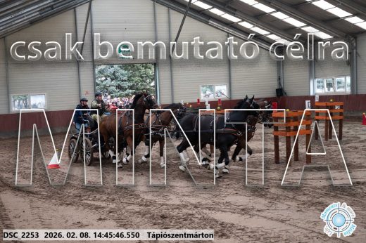 Mintakép 20260208-648
