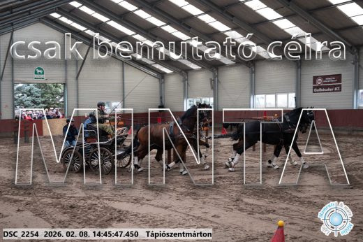 Mintakép 20260208-649