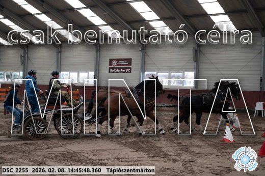 Mintakép 20260208-650
