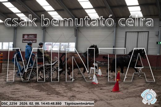 Mintakép 20260208-651
