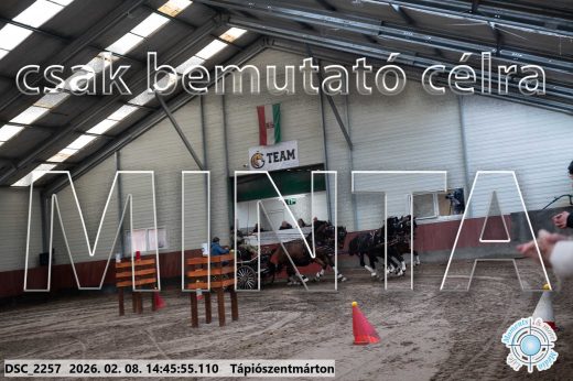 Mintakép 20260208-652