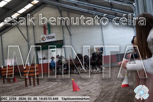 Mintakép 20260208-653