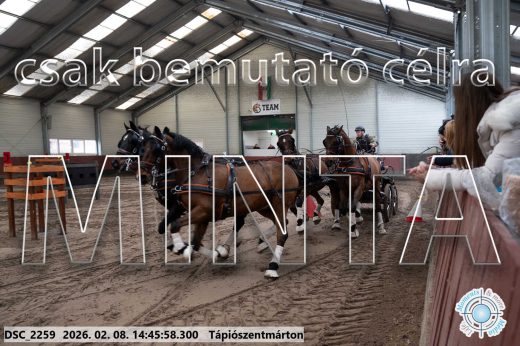 Mintakép 20260208-654