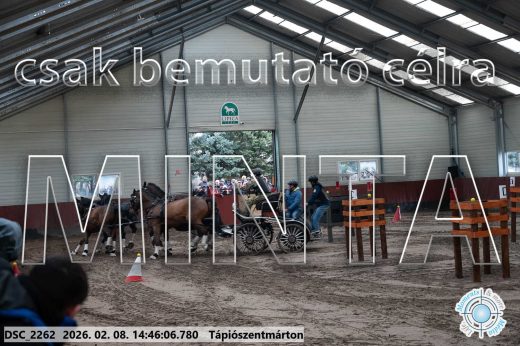 Mintakép 20260208-657