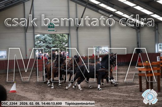 Mintakép 20260208-659