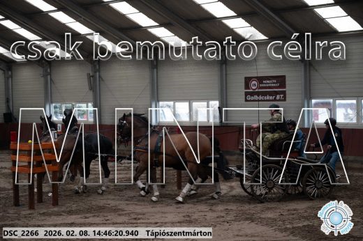 Mintakép 20260208-661