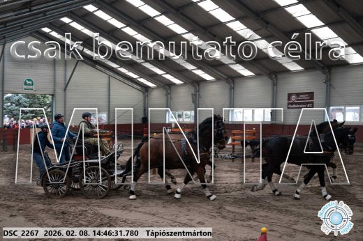 Mintakép 20260208-662