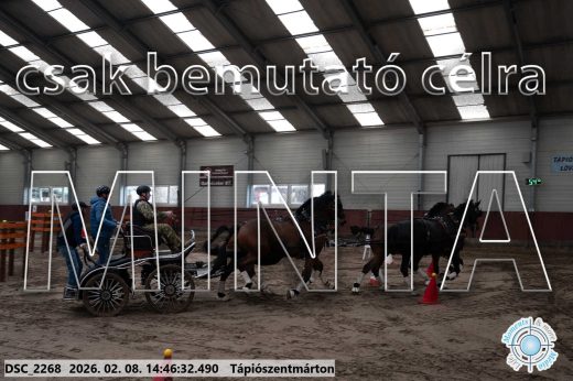 Mintakép 20260208-663