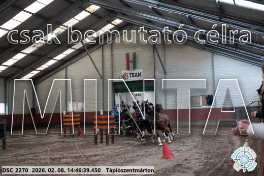 Mintakép 20260208-665