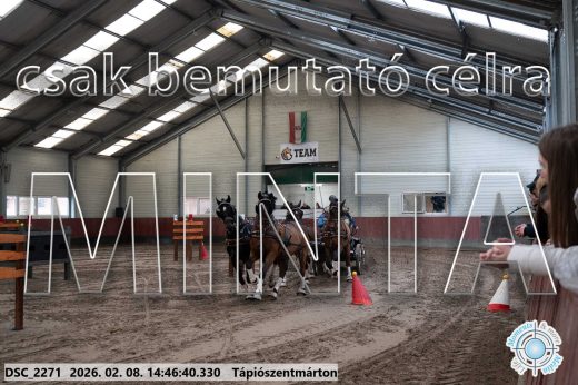 Mintakép 20260208-666