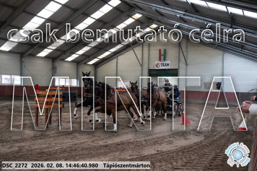 Mintakép 20260208-667
