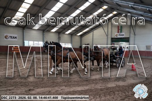 Mintakép 20260208-668