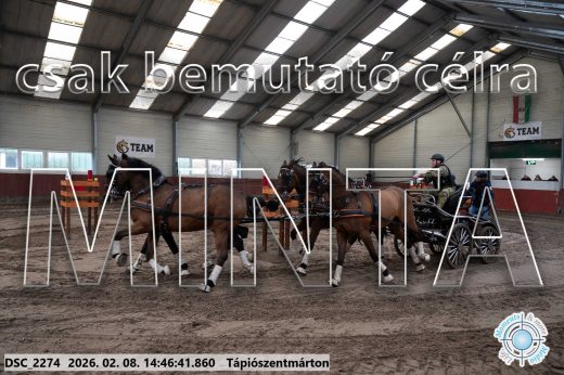 Mintakép 20260208-669
