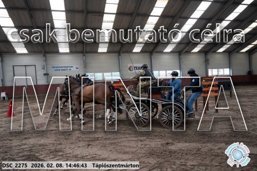 Mintakép 20260208-670