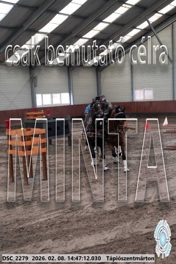 Mintakép 20260208-674