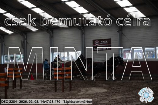 Mintakép 20260208-678