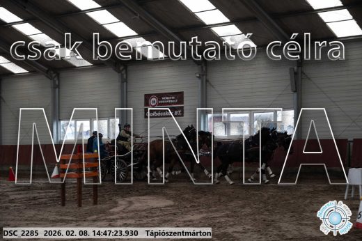 Mintakép 20260208-679