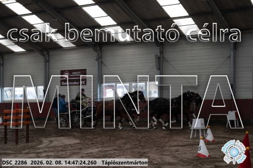 Mintakép 20260208-680