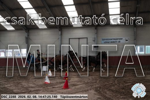 Mintakép 20260208-682