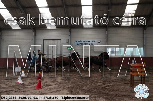 Mintakép 20260208-683