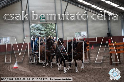 Mintakép 20260208-684