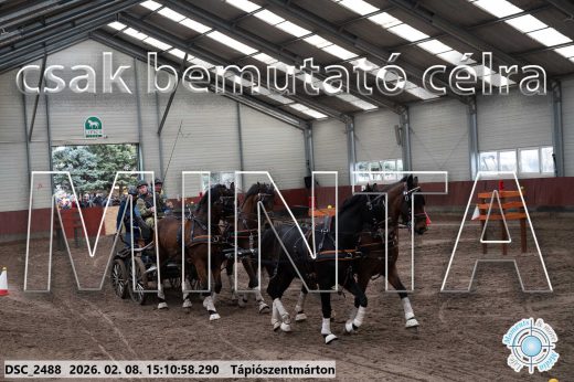 Mintakép 20260208-685