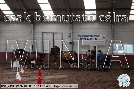 Mintakép 20260208-688