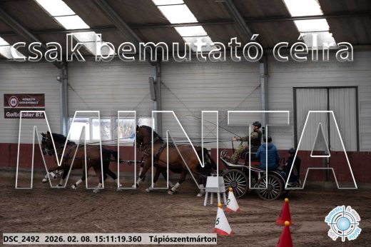 Mintakép 20260208-689