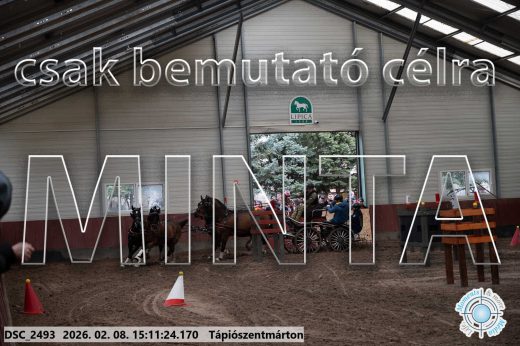 Mintakép 20260208-690