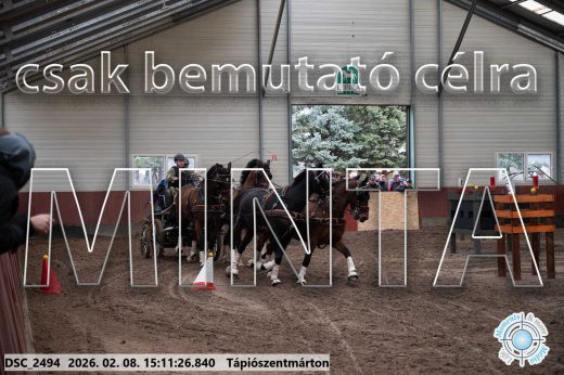 Mintakép 20260208-691