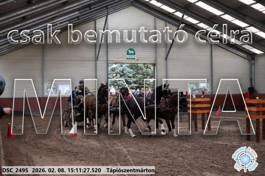 Mintakép 20260208-692
