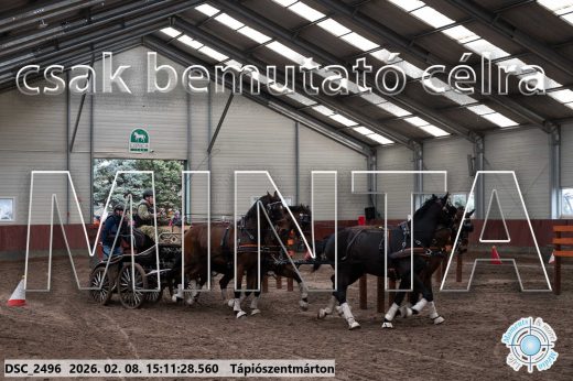 Mintakép 20260208-693