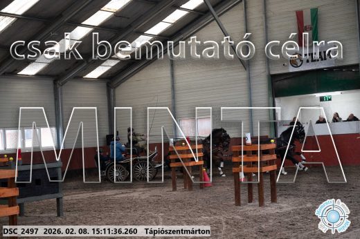 Mintakép 20260208-694