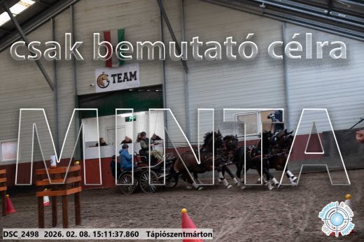 Mintakép 20260208-695