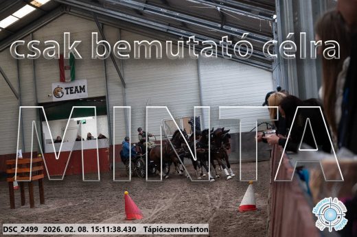 Mintakép 20260208-696