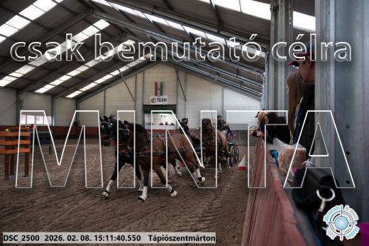 Mintakép 20260208-697