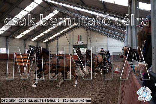 Mintakép 20260208-698