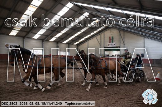 Mintakép 20260208-699