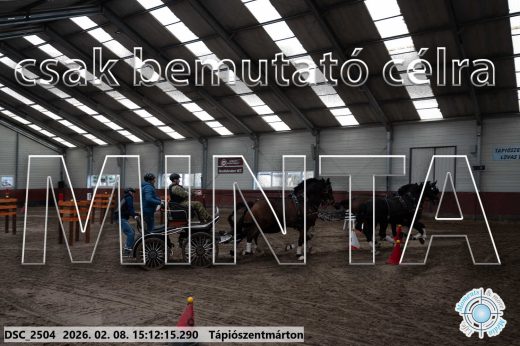Mintakép 20260208-701