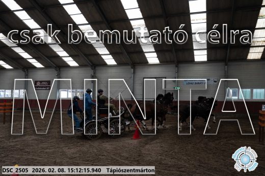 Mintakép 20260208-702
