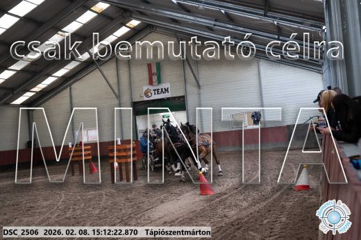Mintakép 20260208-703