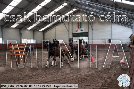 Mintakép 20260208-704