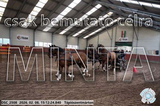 Mintakép 20260208-705